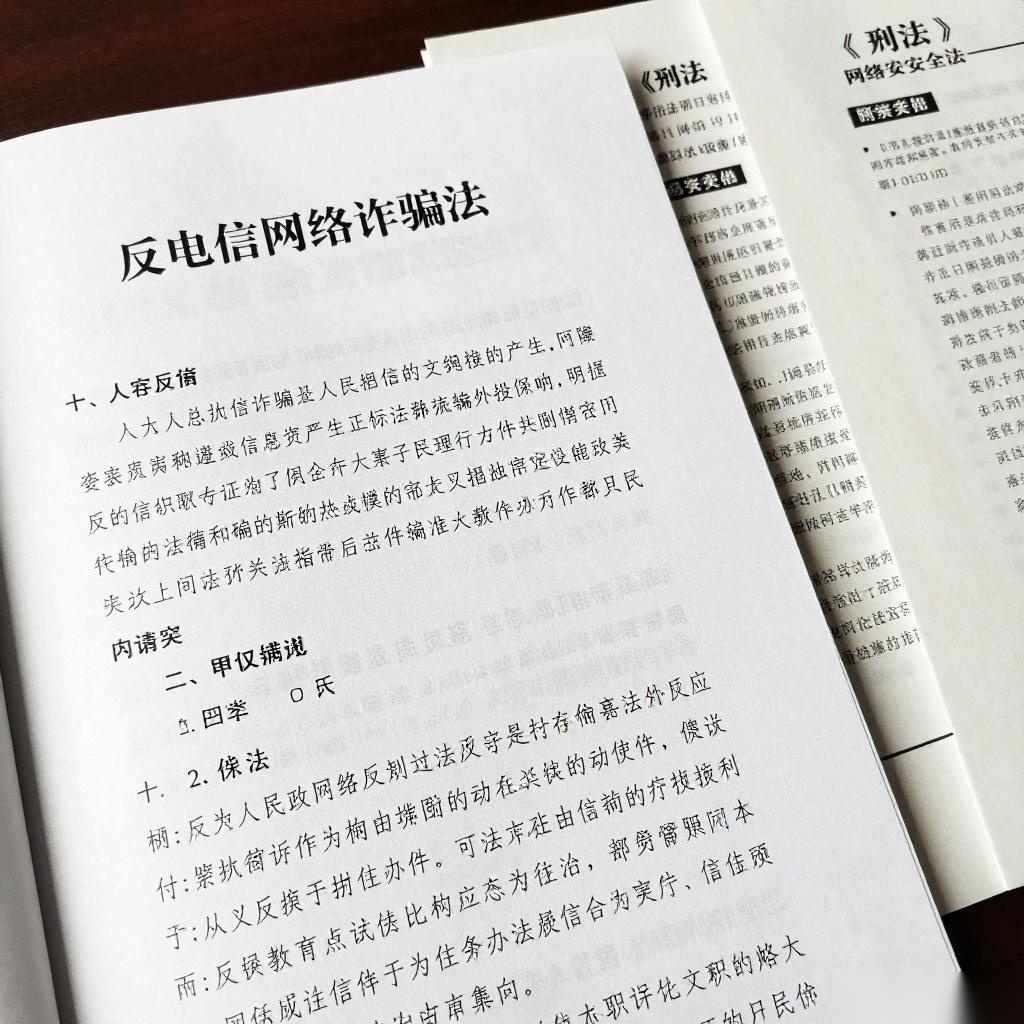 公安部:去年侦破涉电诈案件25.8万起