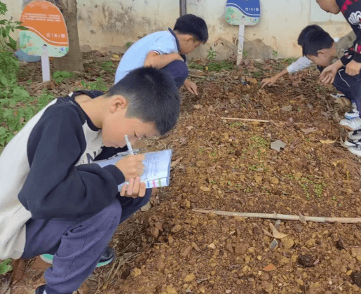 萌力担当！6-12岁儿童组建"自然守护队"：认养社区绿地、义卖植物助农，用行动书写成长答卷