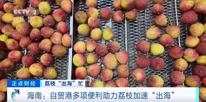 证件可以“云签发” 自贸港多项便利助力海