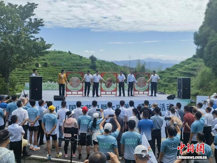 “中国美人茶之乡”福建大田举办第六届开茶