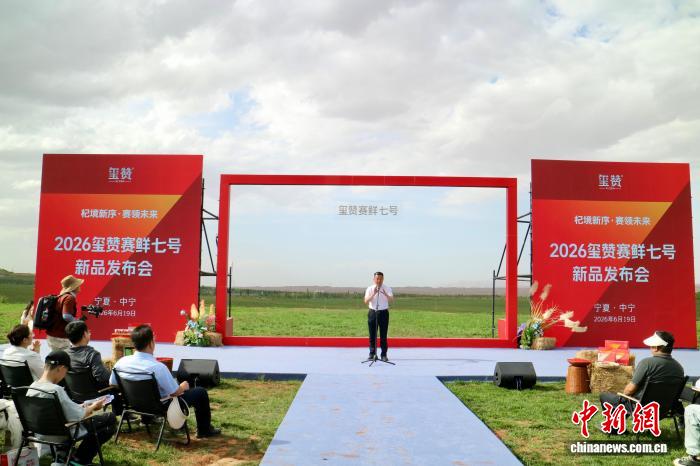 宁夏中宁枸杞“上新” 产业迈入“赛鲜”新