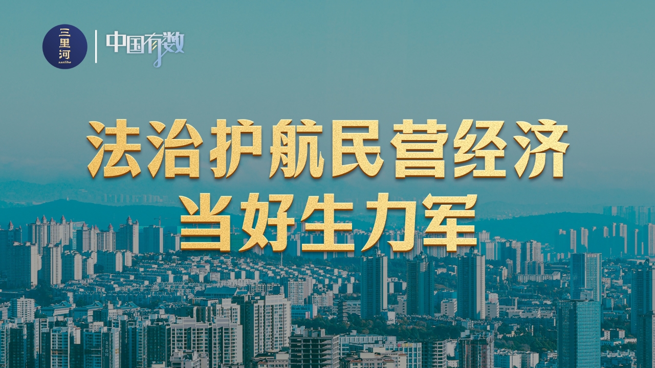 法治护航民营经济行稳致远