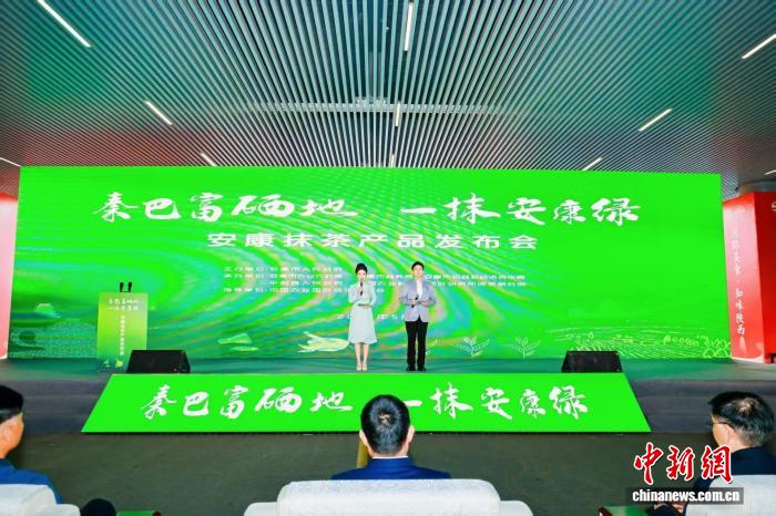 千年贡茶一“抹”新绿 安康富硒茶产业加快