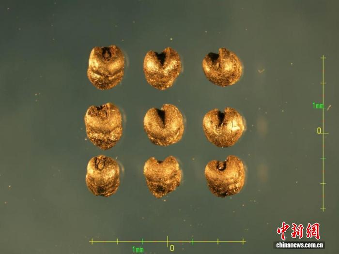 中国北方万年农业考古新发现：燕山南北早期旱作农业历经三阶段(图2)