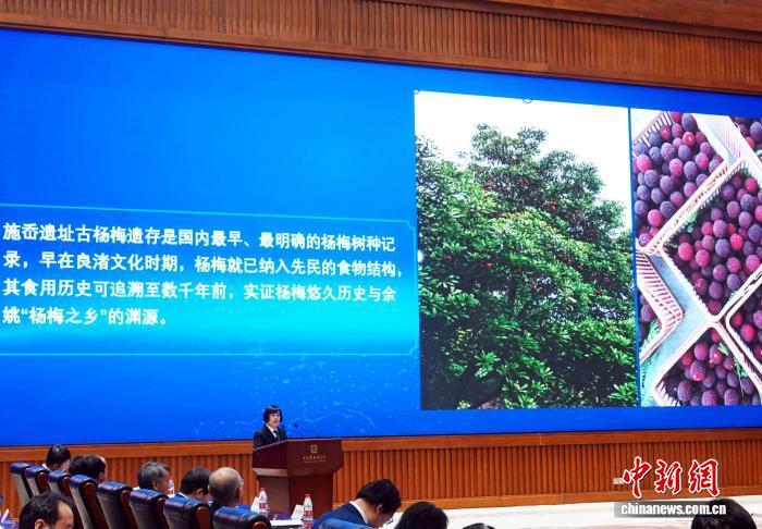 科技考古研究：良渚文化时期遗存发现中国最早杨梅古树(图1)