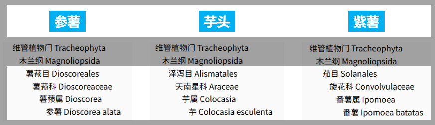 你吃了这么多年的“香芋味”，居然都是假的？(图1)