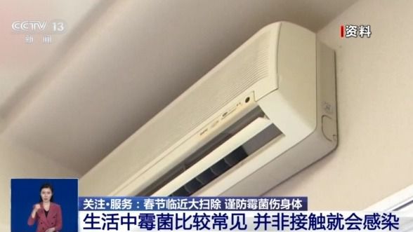 女孩脑部被真菌侵蚀出现“空洞”？大扫除要警惕霉变粉尘！(图2)