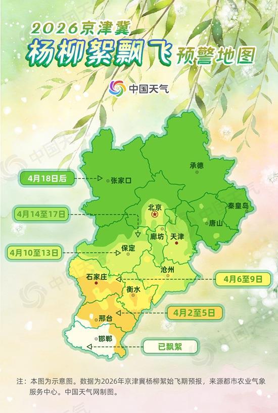 北方晴暖回归！杨柳飞絮即将上线 “防絮攻