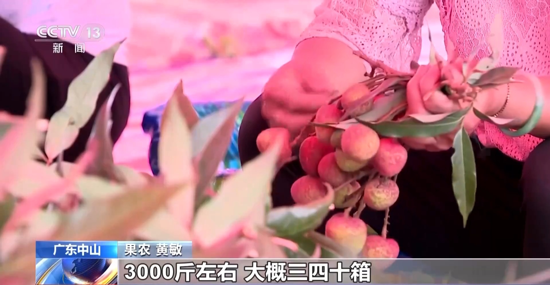 荔枝红透 榴莲飘香 夏季鲜果大量上市 挑