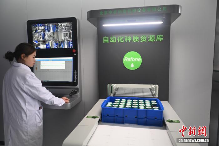 （走进中国乡村）“千年药乡”陇西：种子上