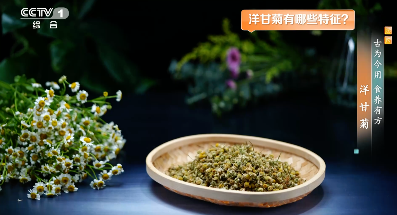 这种花是天然“消炎药”还能增强免疫力 有