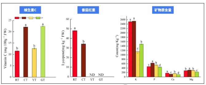 “天选减肥果”竟是它！低卡高纤还美味，多吃不怕胖(图1)