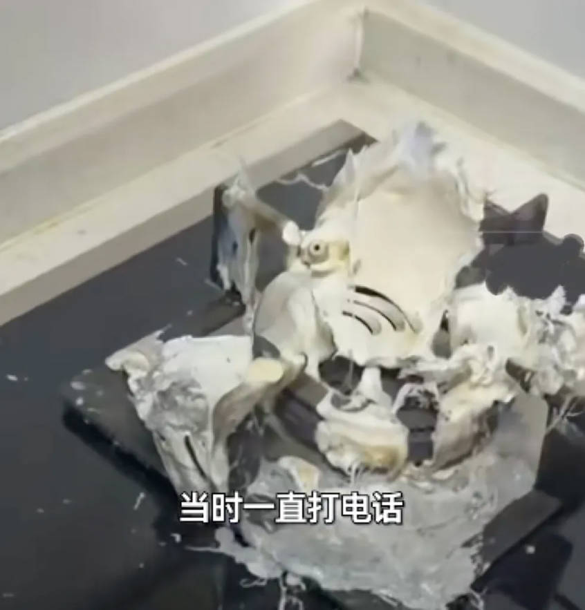 这种锅放到燃气灶上会烧化，千万别尝试！(图1)