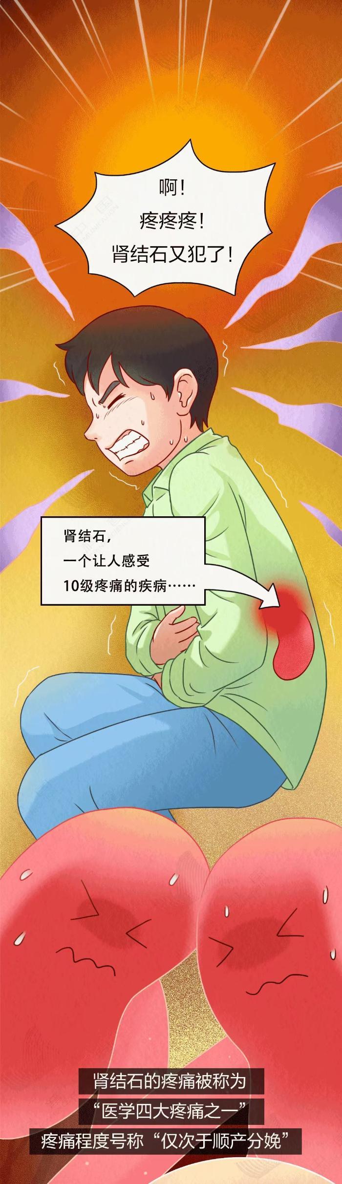 肾是怎么一步步长出结石的？做好这4点 远