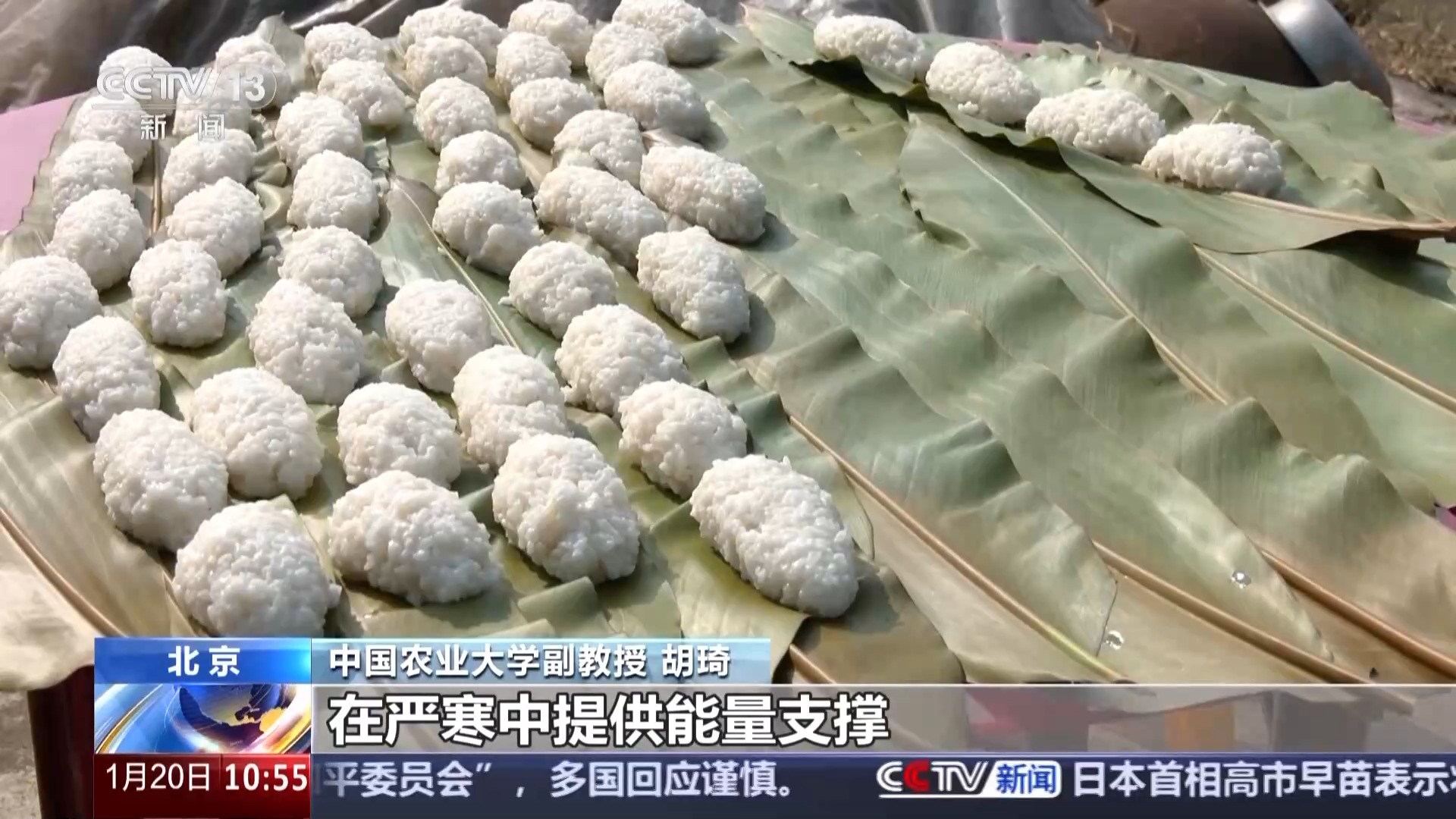 蕴含气候预警与养生之道 解锁民谚中的科学密码(图7)