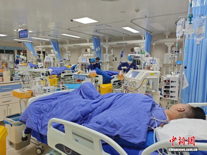 拒绝“贪鲜”侥幸 专家提醒春季谨防白毒伞