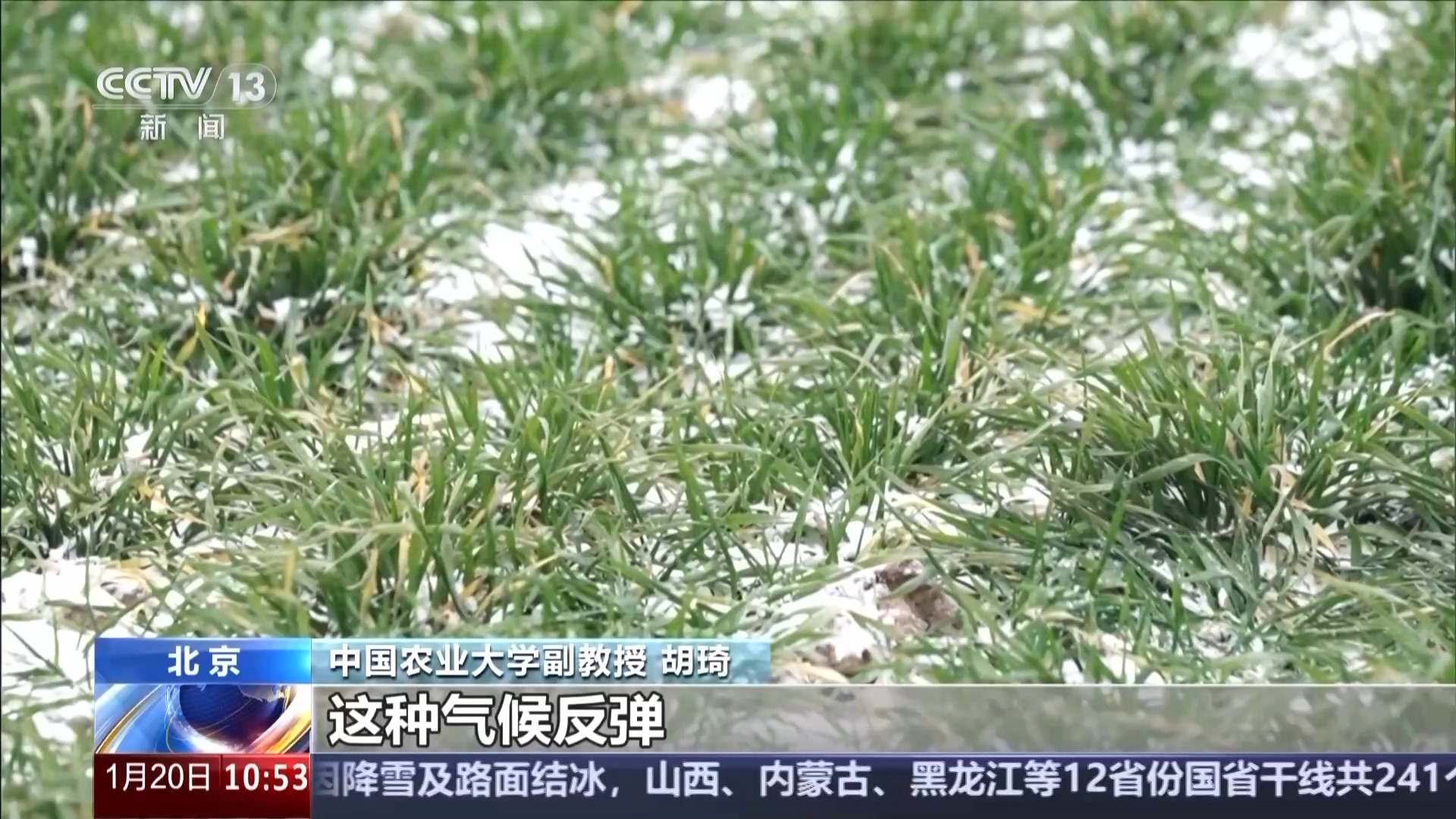 蕴含气候预警与养生之道 解锁民谚中的科学密码(图4)