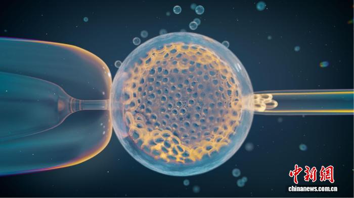 国际最新研究：常见遗传变异引发风险或是导致流产主因