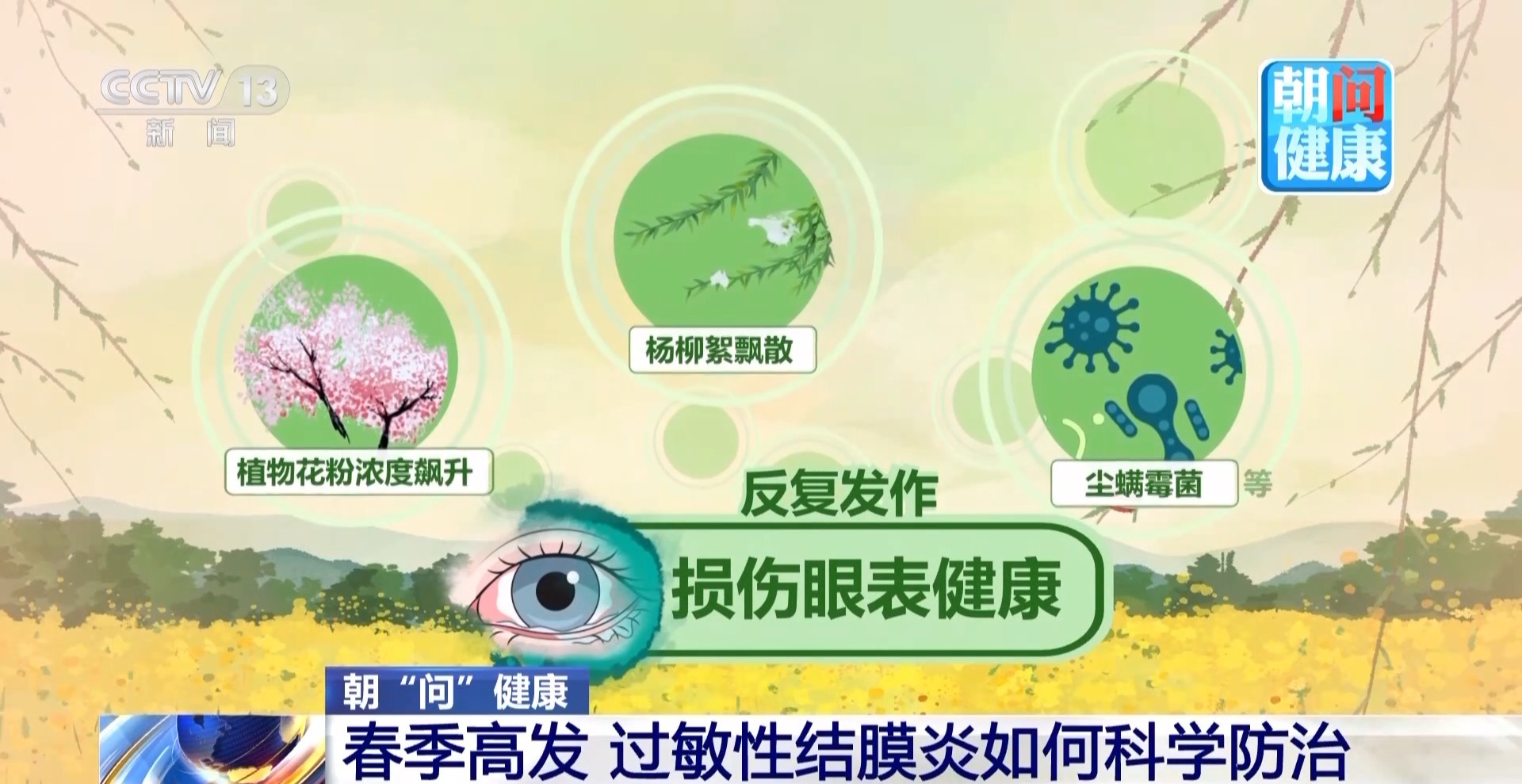 眼痒眼红别乱揉 春季过敏性结膜炎高发 专