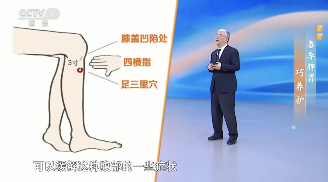 抓住脾胃调理“黄金季”,4招让你的脾胃强大起来(图6) 抓住脾胃调理“黄金季”,4招让你的脾胃强大起来(图6)