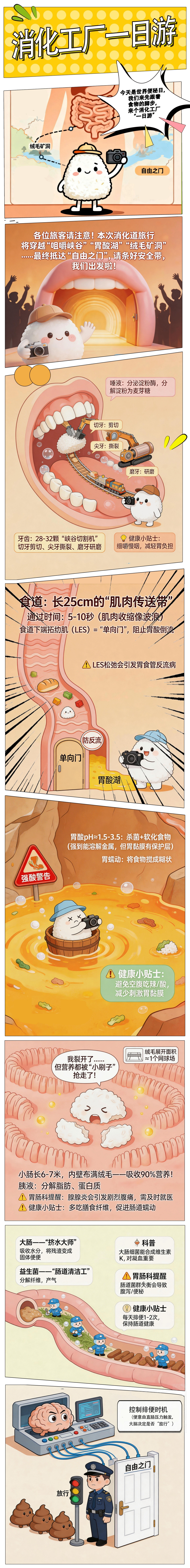 世界便秘日，我们谈谈“下面”的事