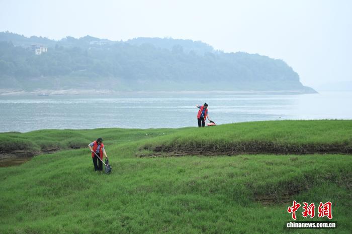 长江保护法实施五周年：重庆交出高分“生态答卷”(图2)