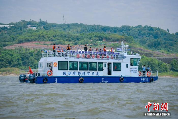 长江保护法实施五周年：重庆交出高分“生态答卷”