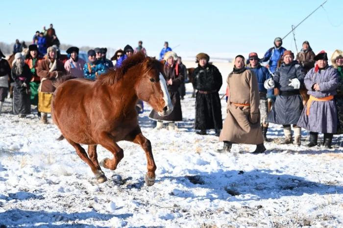 东西问丨许大华：乌拉圭马文化长盛，有何启示？(图5)