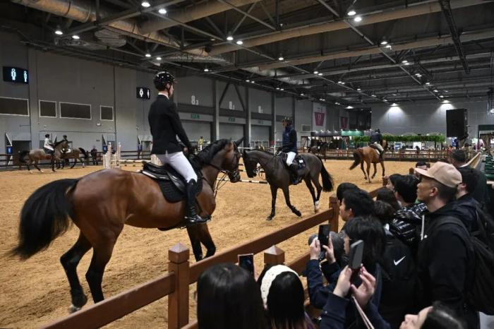 东西问丨许大华：乌拉圭马文化长盛，有何启示？(图4)