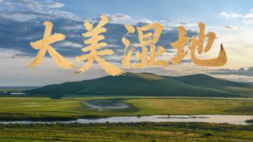 时政微视频丨大美湿地