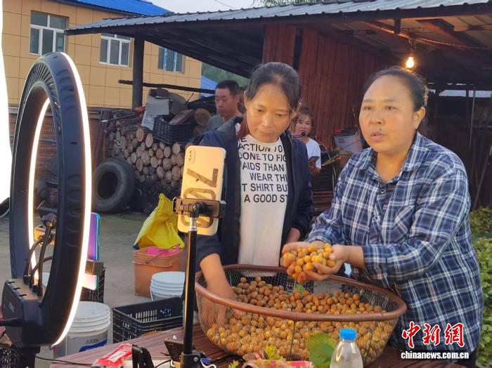 （全国两会）李广丽：突破龙山村地理限制 带领村民走特色发展之路