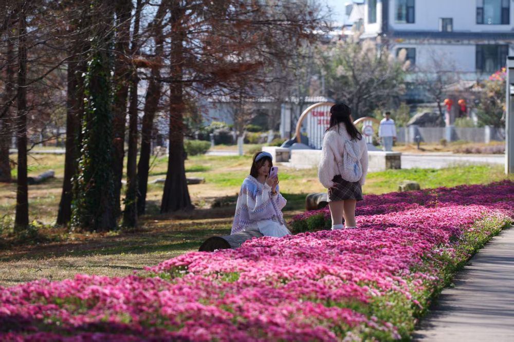习近平总书记关切事｜幸福花开新农家(图3)