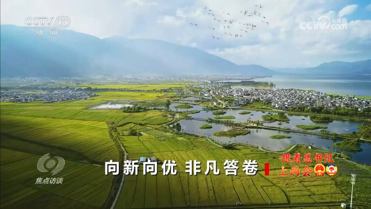 焦点访谈｜中国经济高质量发展成效如何？代表委员们带着答卷来“赴约”(图6)