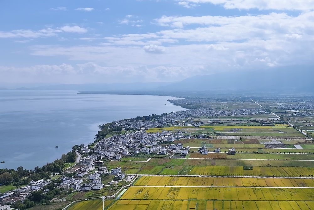 习近平总书记关切事｜幸福花开新农家(图2)