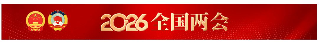 人大代表建议元宵节、重阳节放假，网友：双手赞成！(图1)
