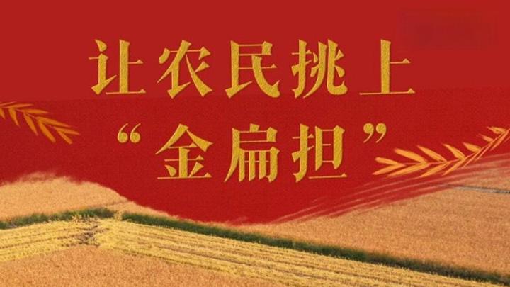 微视频｜让农民挑上“金扁担”