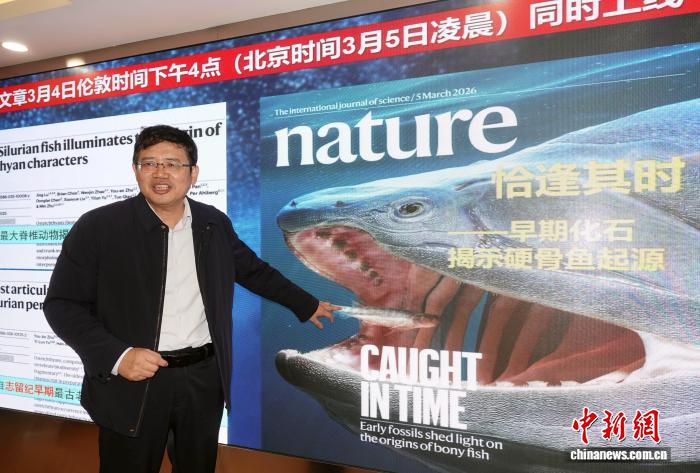 中国团队“软硬兼施”探源“从鱼到人” 实证华南为“东方摇篮”(图1)