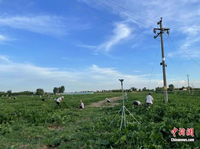 东西问丨作家梁鸿：为何说“中国在梁庄”？(图4)