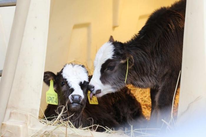 习近平总书记关切事｜攥紧中国种子(图4)