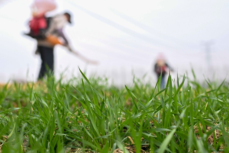 学习进行时丨从总书记的两会故事领悟正确政绩观(图6)