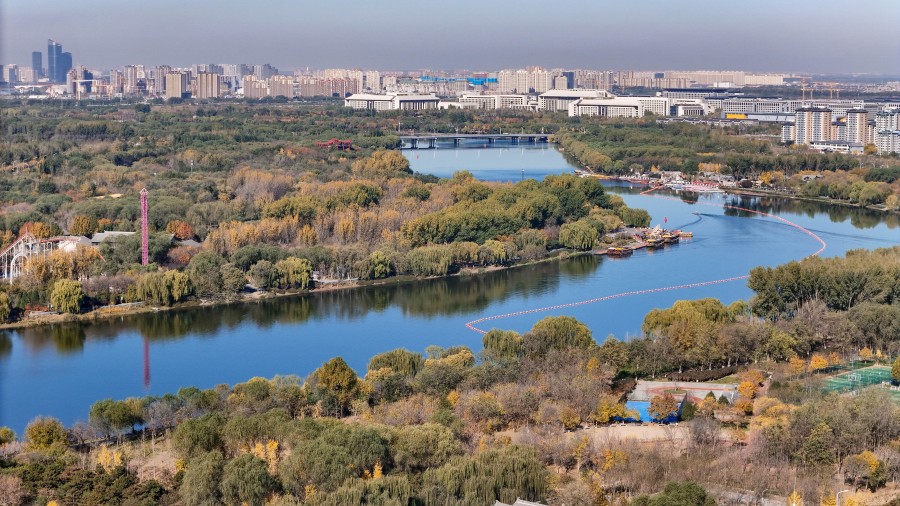 学习进行时丨从总书记的两会故事领悟正确政绩观(图3)