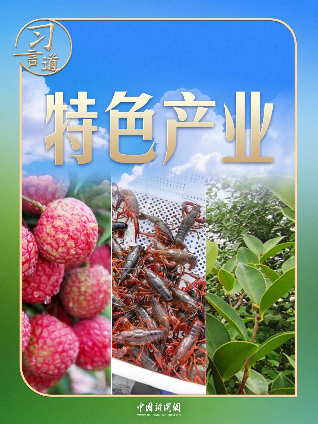 习言道丨两会“下团组”，习近平提到了小龙虾(图1)