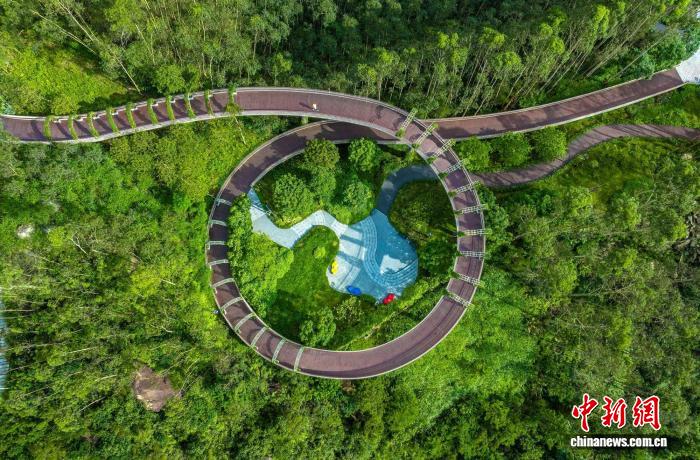 “十四五”广东国土绿化实现“量增、质提、氛围浓”(图3)