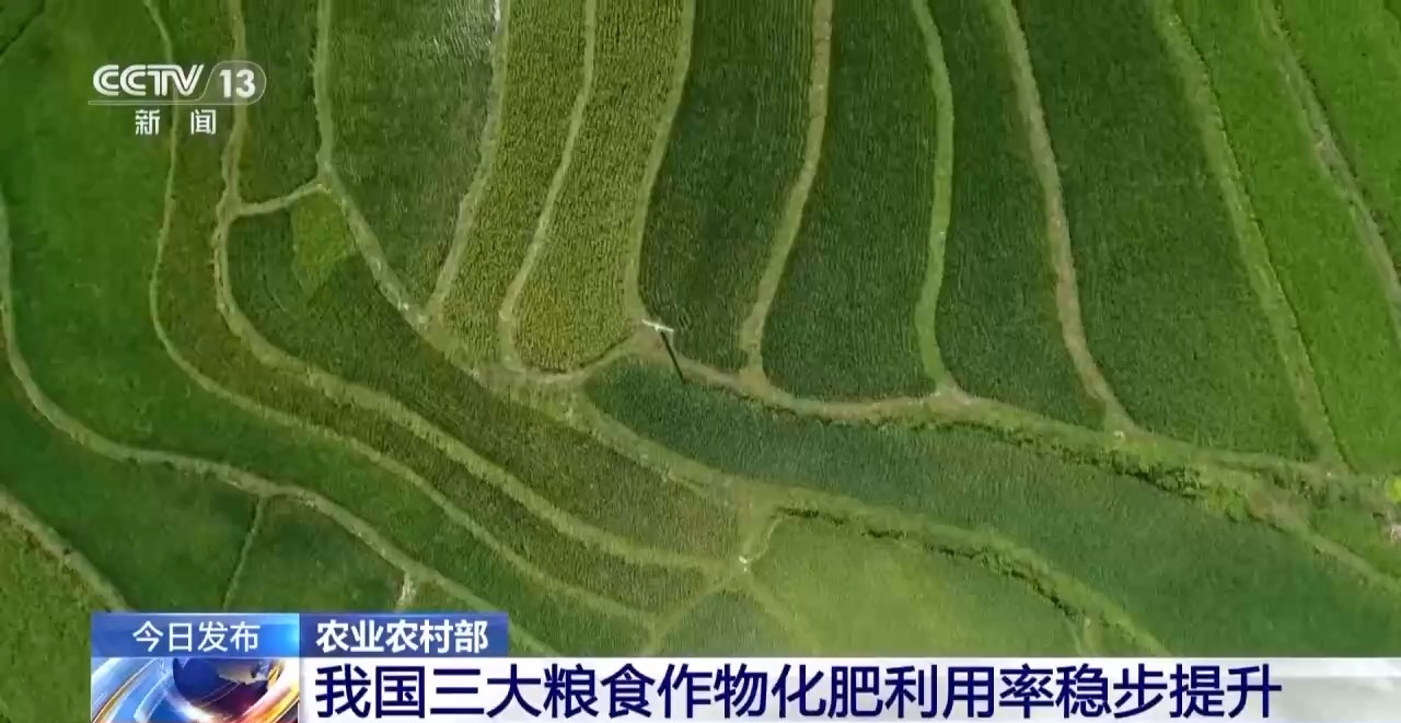 居国际中上水平 去年我国三大粮食作物化肥利用率达43.3%(图1)