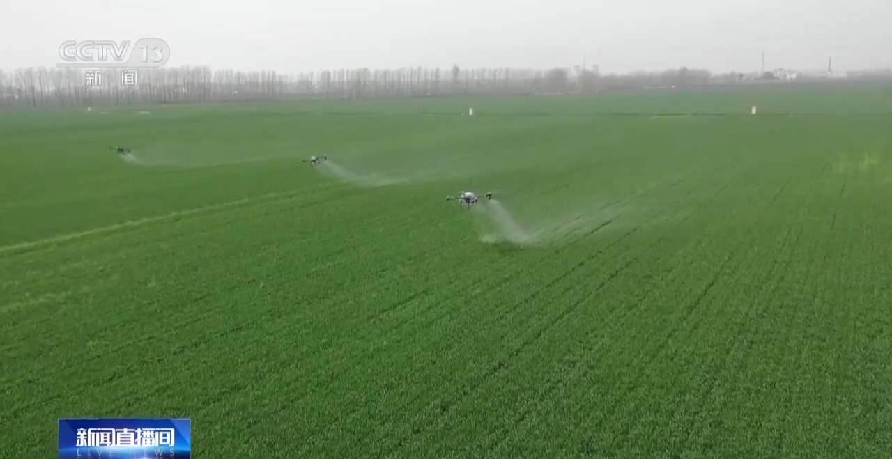 居国际中上水平 去年我国三大粮食作物化肥利用率达43.3%(图2)