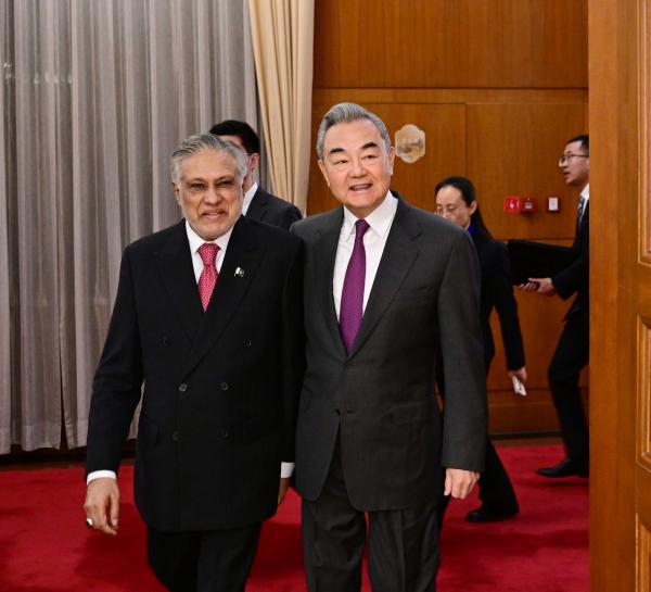 王毅同巴基斯坦副总理兼外长达尔举行中巴外长战略对话(图4)