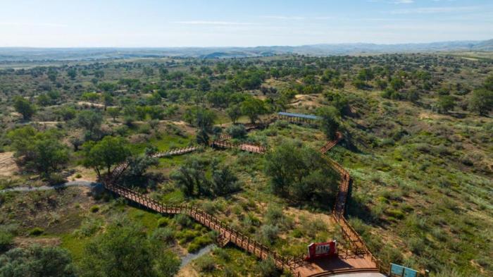 习近平总书记关切事·嘱托｜生态守护者的绿色画卷(图2)