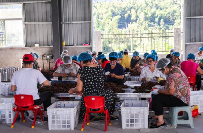 习近平总书记关切事·嘱托｜生态守护者的绿色画卷(图4)