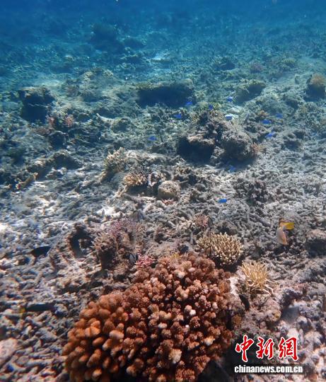 中国科学家领衔国际团队发布最新报告：全球变暖趋势十分明确(图2)