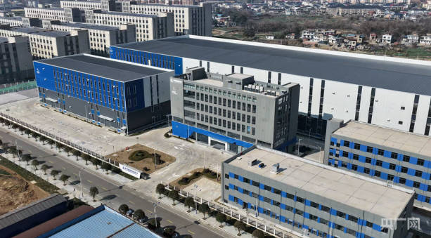 19600千瓦时、减碳1462吨、增长14.7%：解码一艘“电船”的链式反应(图3)